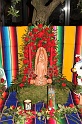 Dia de la Guadalupe   093